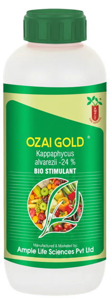 Ozai Gold bottle