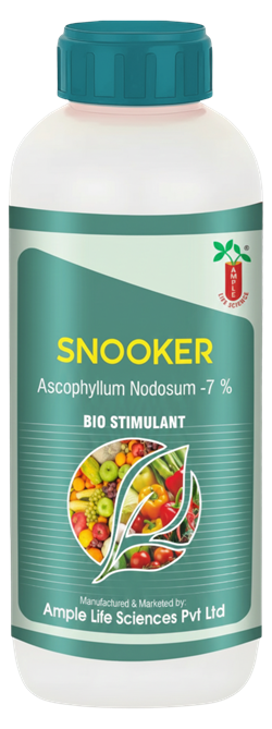 Snooker bottle